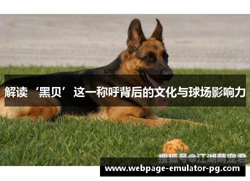 解读‘黑贝’这一称呼背后的文化与球场影响力