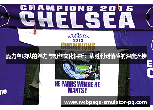 魔力鸟球队的魅力与粉丝文化探析：从胜利到情感的深度连接