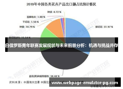 白俄罗斯青年联赛发展现状与未来前景分析：机遇与挑战并存