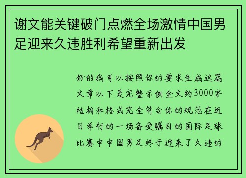 谢文能关键破门点燃全场激情中国男足迎来久违胜利希望重新出发